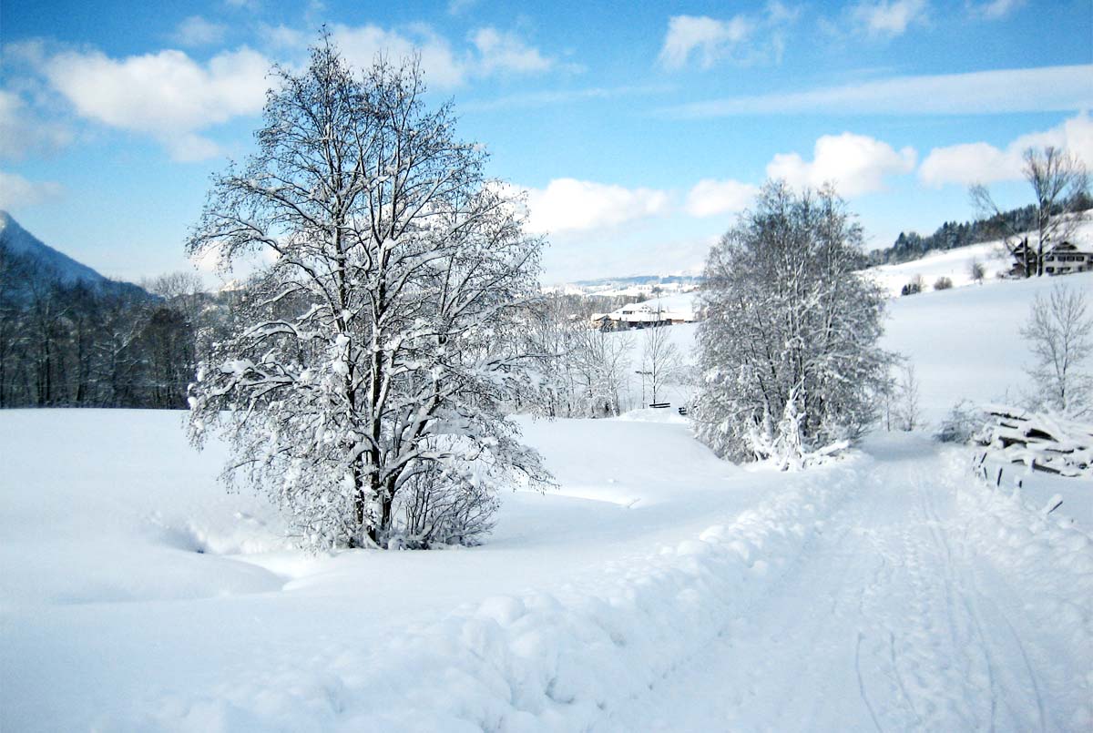 Herrlicher Ausblick auf die verschneite Landschaft.