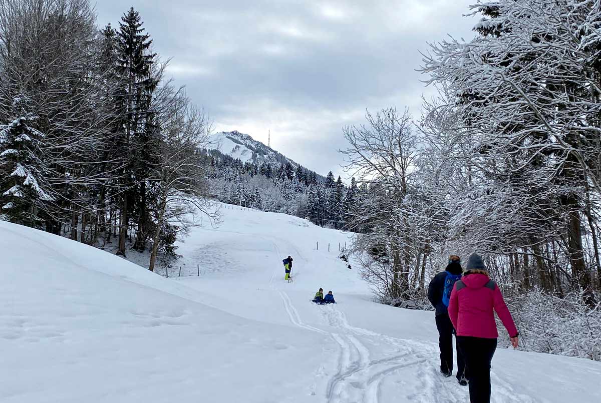 Winterwanderung auf die Neumayr Alpe