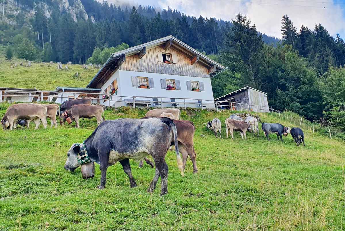 Alpe Kalkhöf