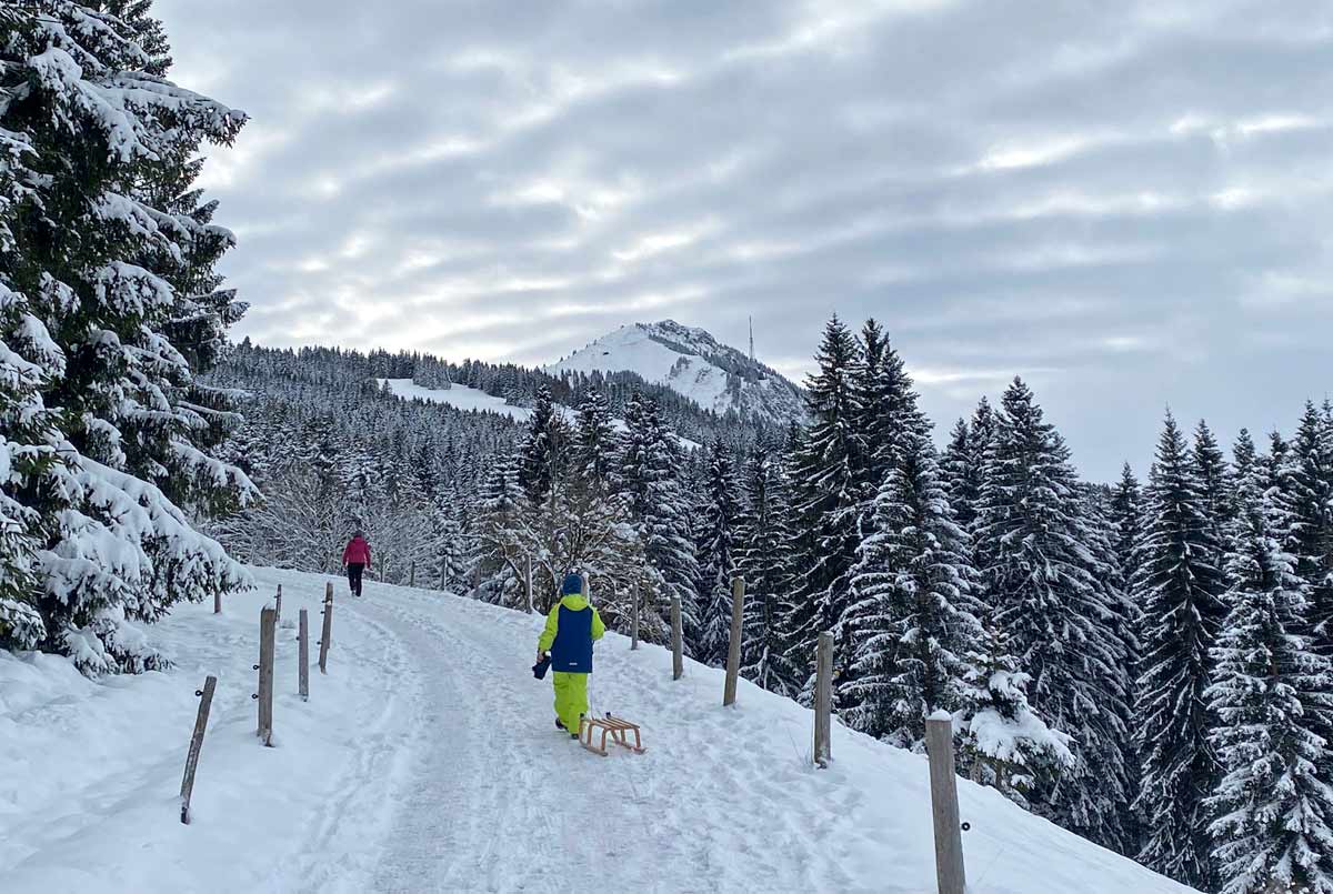 Winterwanderung zur Neumayr Alpe