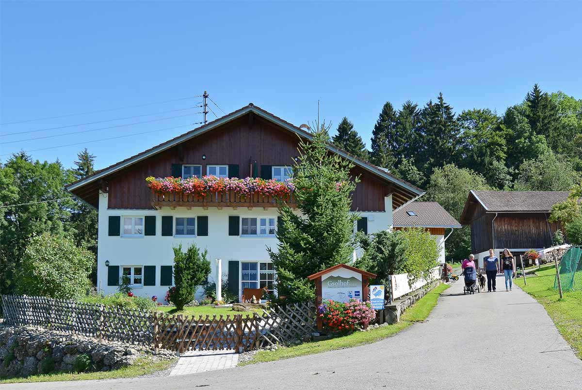 Urlaub auf dem Gsolhof