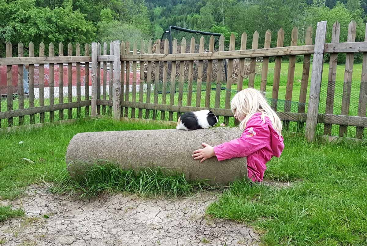 Hier können Kinder mit unseren Tieren Zeit verbringen